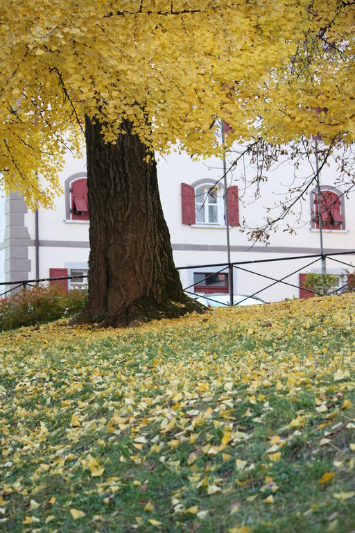 Garni Villa Waiz Roncegno Exteriör bild